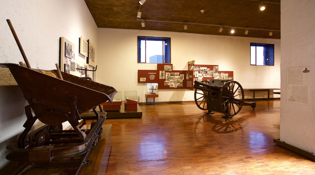 Palace of Cortes Museum showing interior views