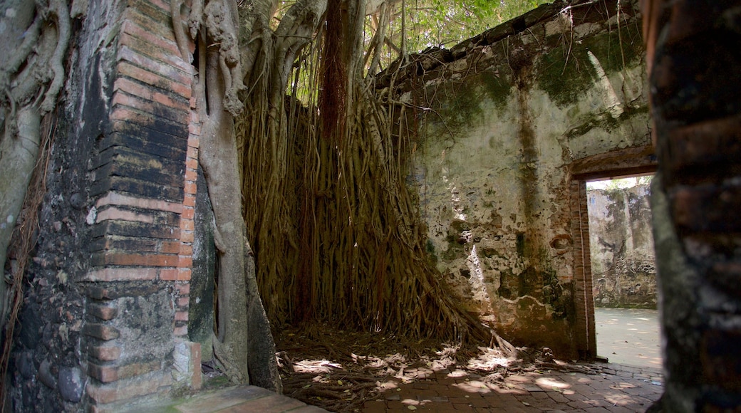 La Antigua que incluye bosques y ruinas de un edificio