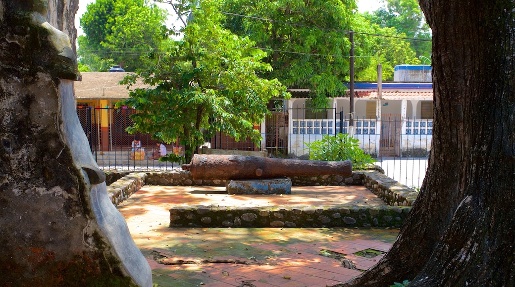 La Antigua showing a garden