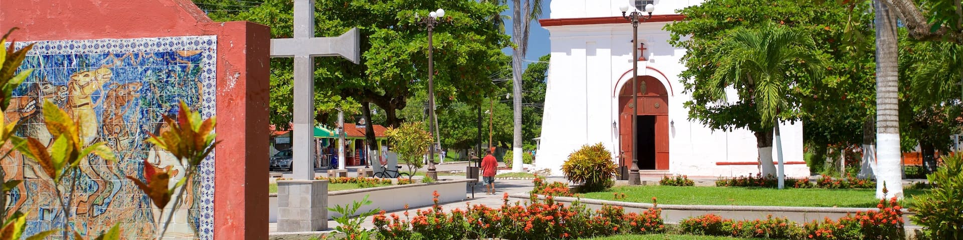 La Antigua showing a park, flowers and a church or cathedral