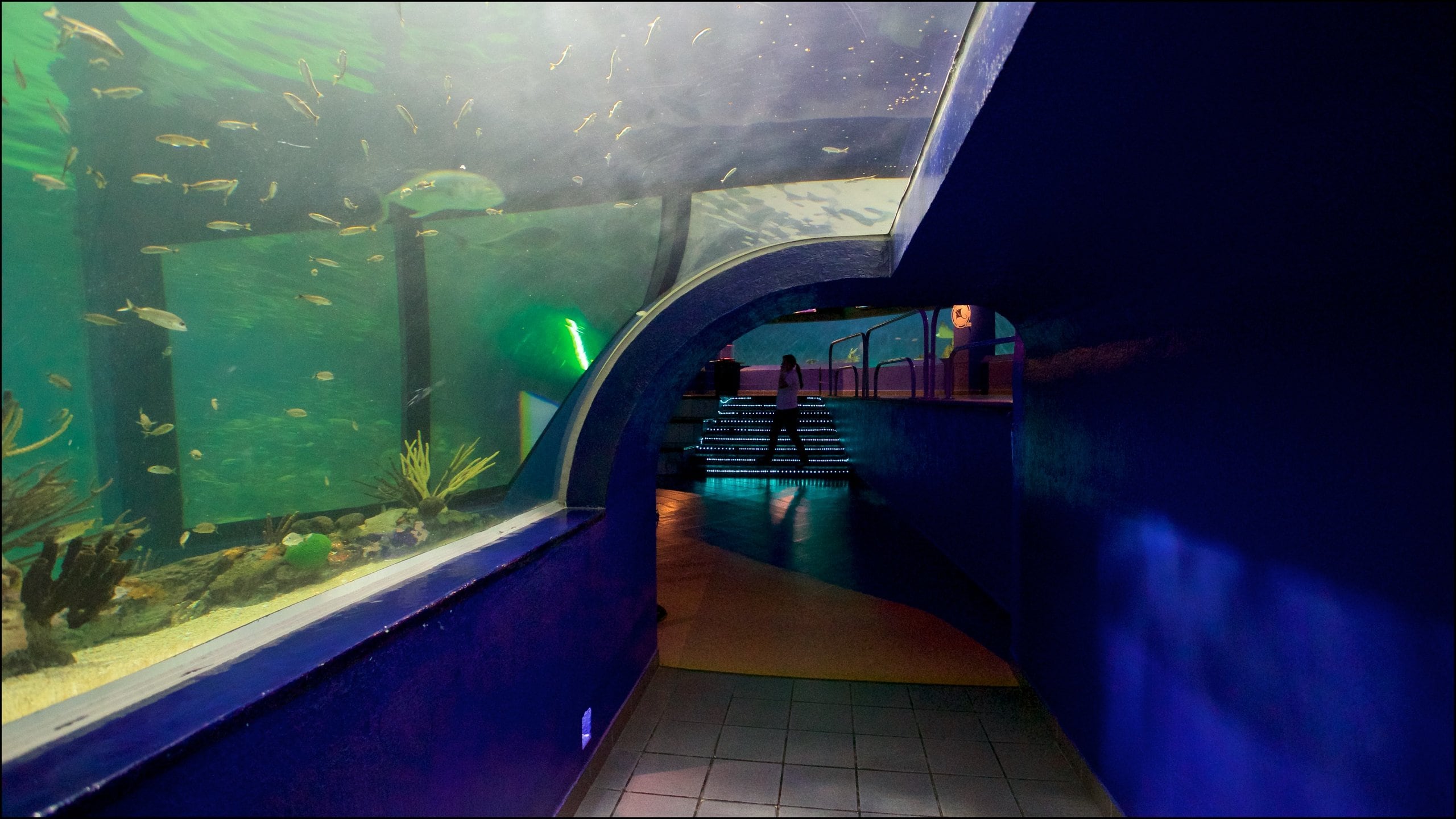Veracruz Aquarium Mexico The Top 10 Things To Do In The Port City Of