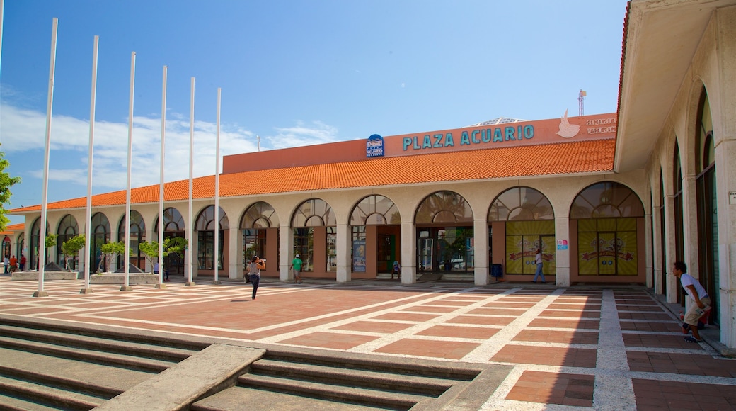 Acquario di Veracruz caratteristiche di segnaletica e piazza