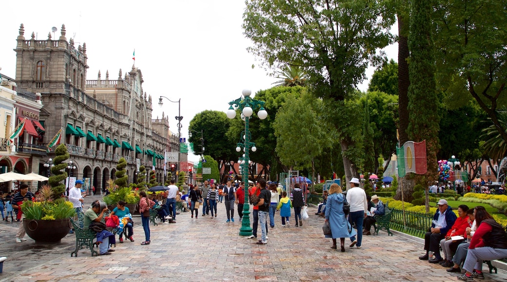 Plaza Zócalo mostrando un jardín y también un pequeño grupo de personas