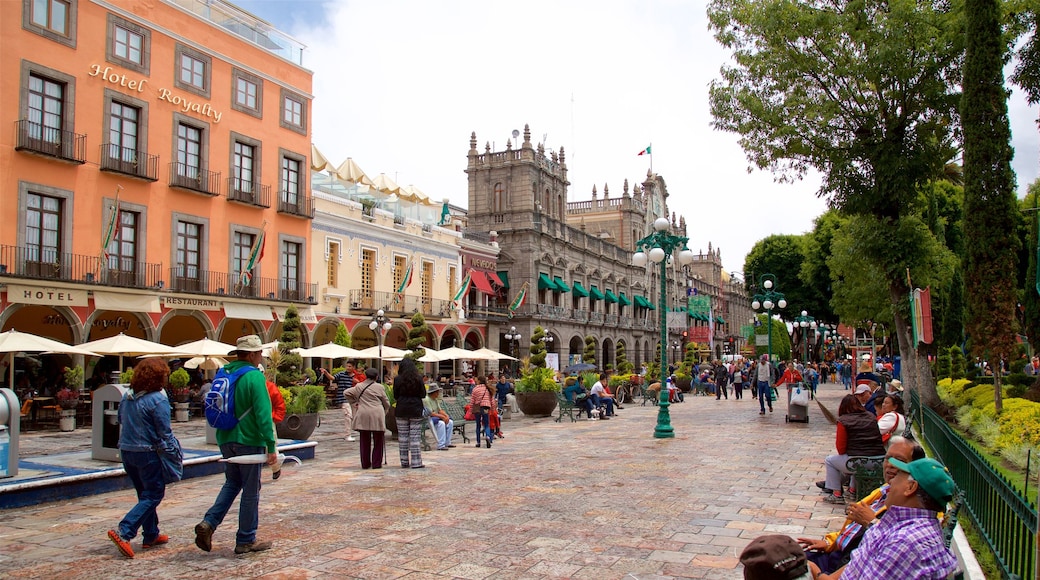 Plaza Zócalo que incluye un parque y también un pequeño grupo de personas