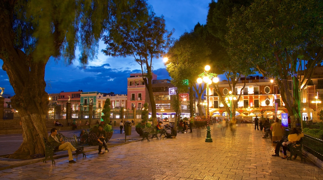 Plaza Zócalo ofreciendo escenas nocturnas y un jardín