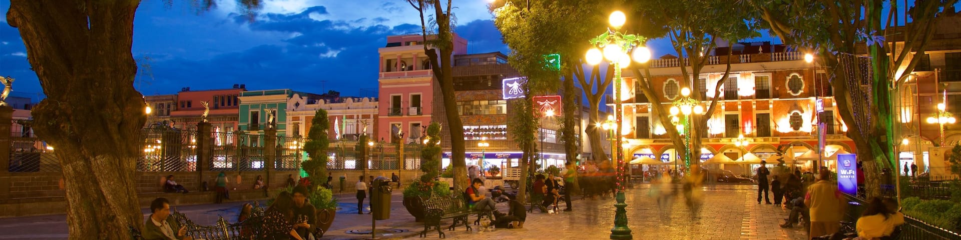 Zocalo Square which includes a park and night scenes