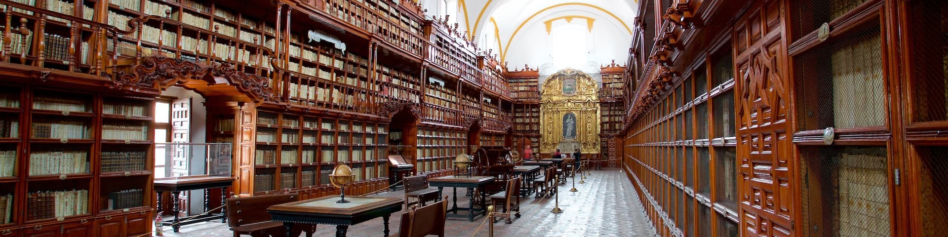 Palafoxiana Library showing heritage elements and interior views