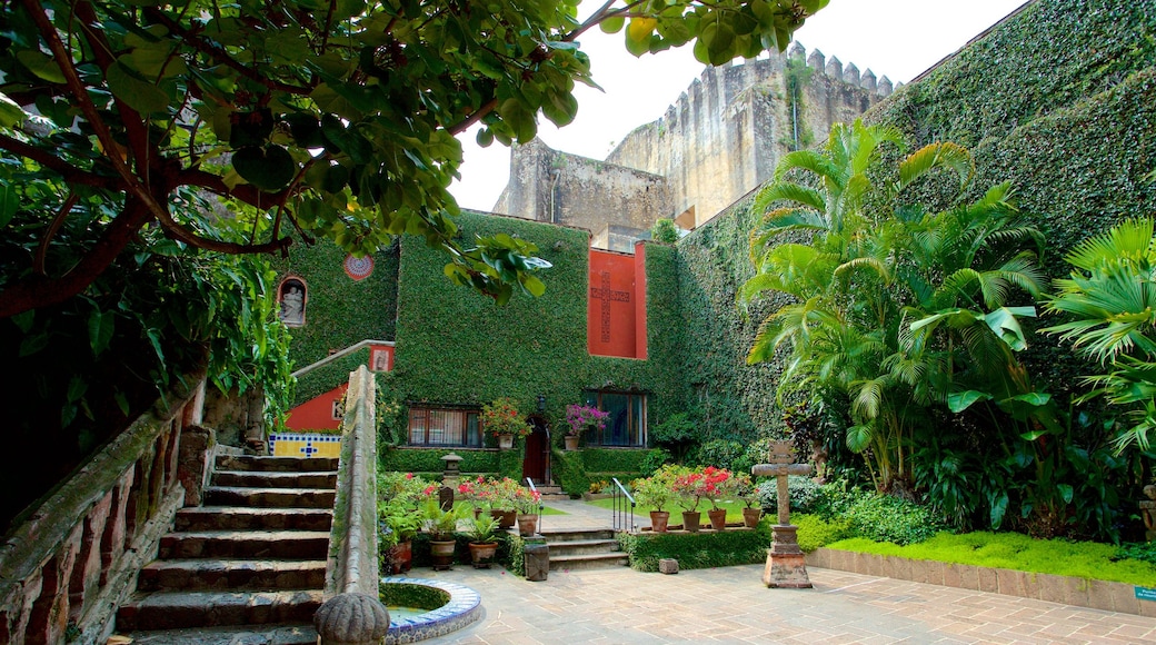 Museo de Robert Brady que incluye un parque