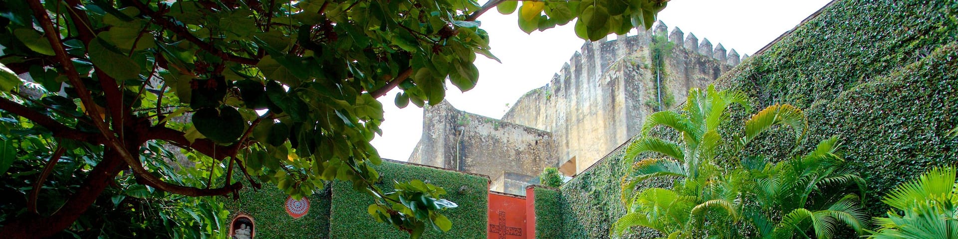 Museo de Robert Brady que incluye un parque