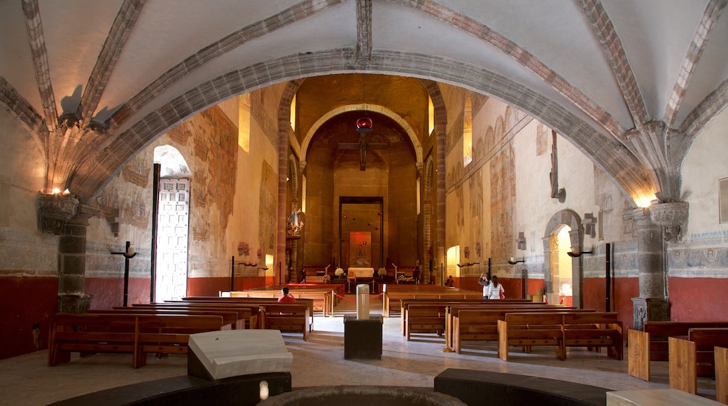 Cuernavaca Cathedral showing interior views, a church or cathedral and heritage elements