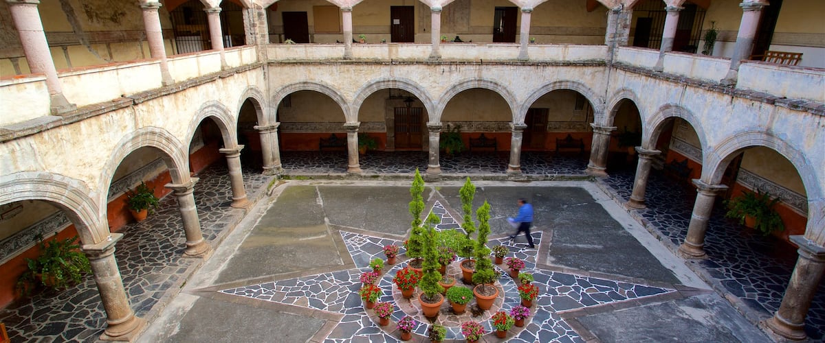 Catedral de Cuernavaca ofreciendo un parque o plaza, elementos del patrimonio y flores