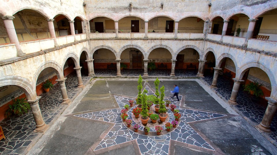 Cuernavaca Cathedral which includes heritage elements, a square or plaza and flowers