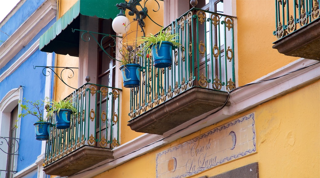 Bazar los Sapos mostrando elementos del patrimonio