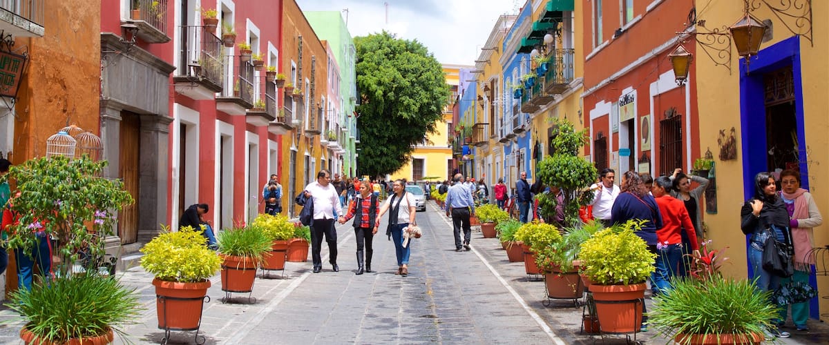 Los Sapos Bazaar as well as a small group of people