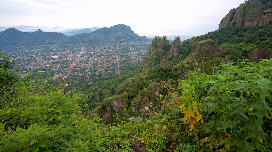 Tepozteco-pyramiden fasiliteter samt rolig landskap, landskap og by