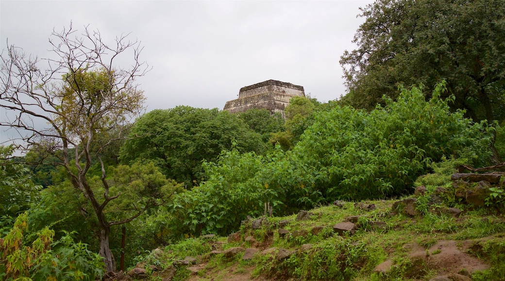 Tepozteco Pyramid showing heritage elements and tranquil scenes