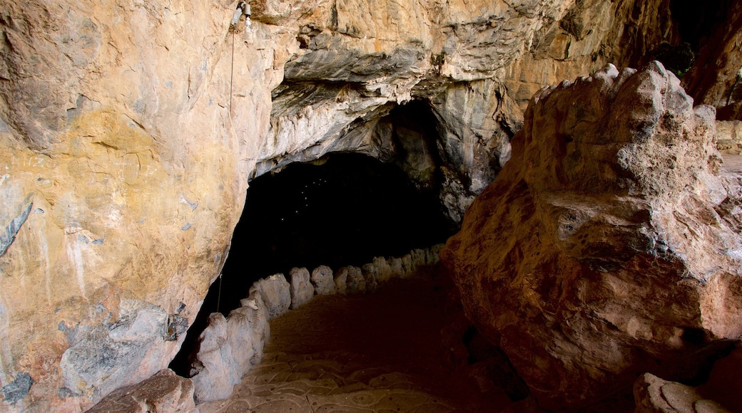 Grutas de Cacahuamilpa National Park showing caves and interior views