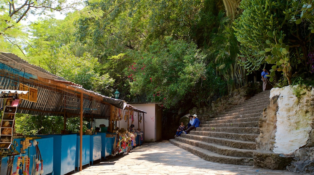 Grutas de Cacahuamilpa National Park showing a garden