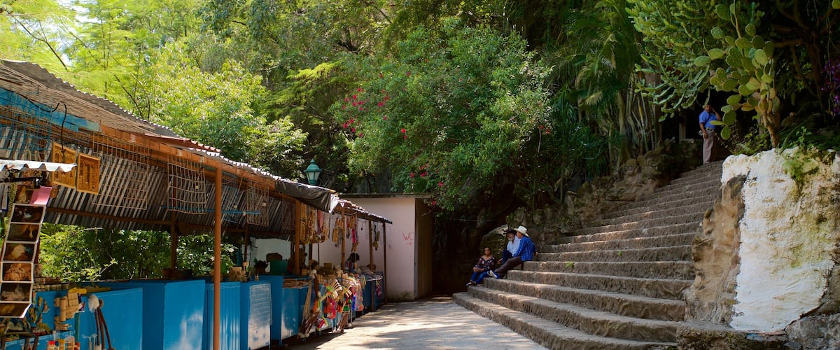 Grutas de Cacahuamilpa National Park which includes a garden