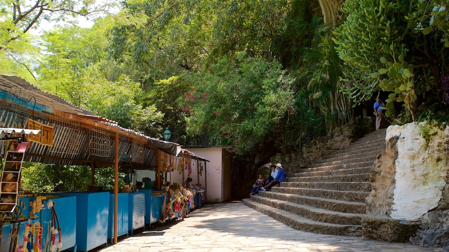 Grutas de Cacahuamilpa National Park ofreciendo un jardín