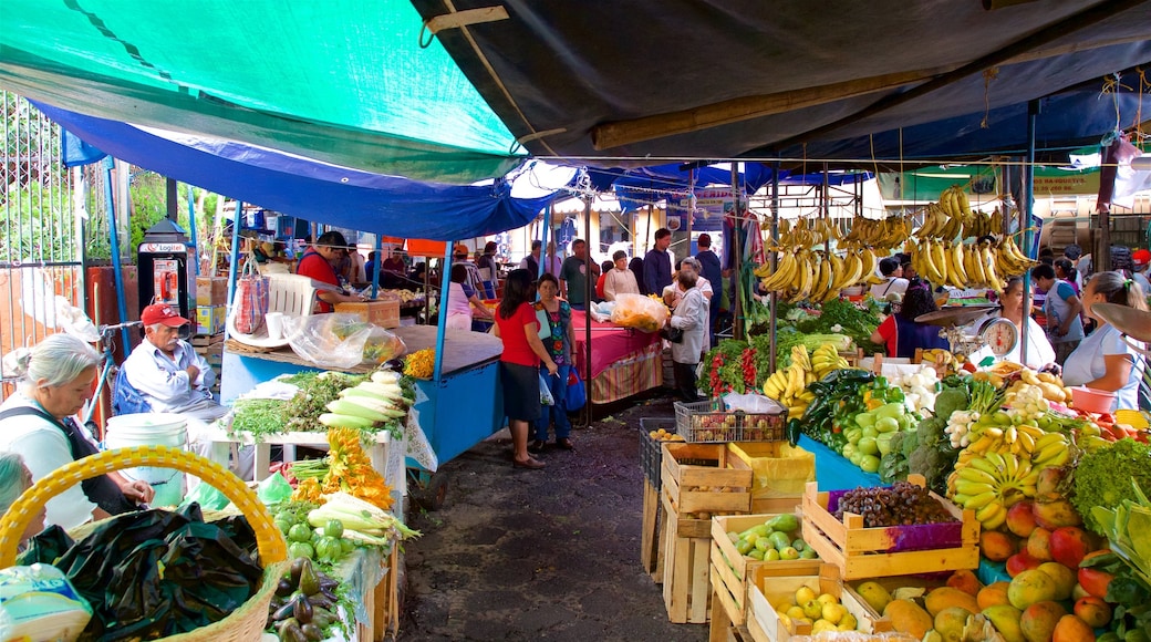 Tepoztlan featuring markets as well as a small group of people