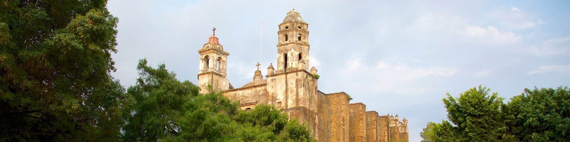 Tepoztlán ofreciendo un jardín y patrimonio de arquitectura y también una familia