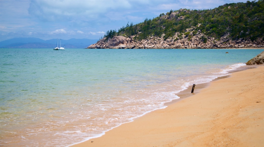 Nelly Bay