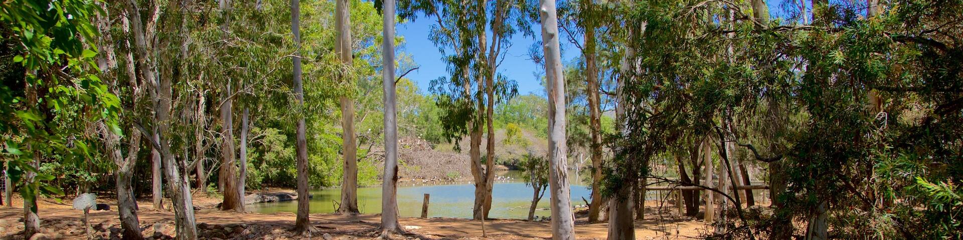 ノーム どの含み 森林 と 池