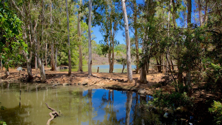 Nome showing a pond and forests