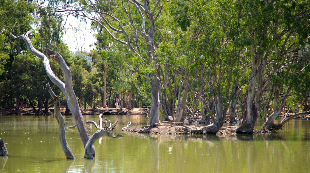 Billabong Sanctuary toont wetlands