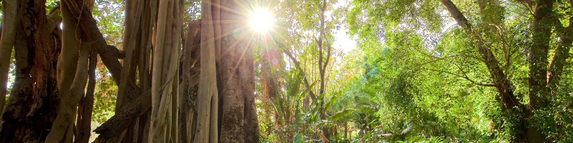 North Ward, Townsville, Queensland, Australia