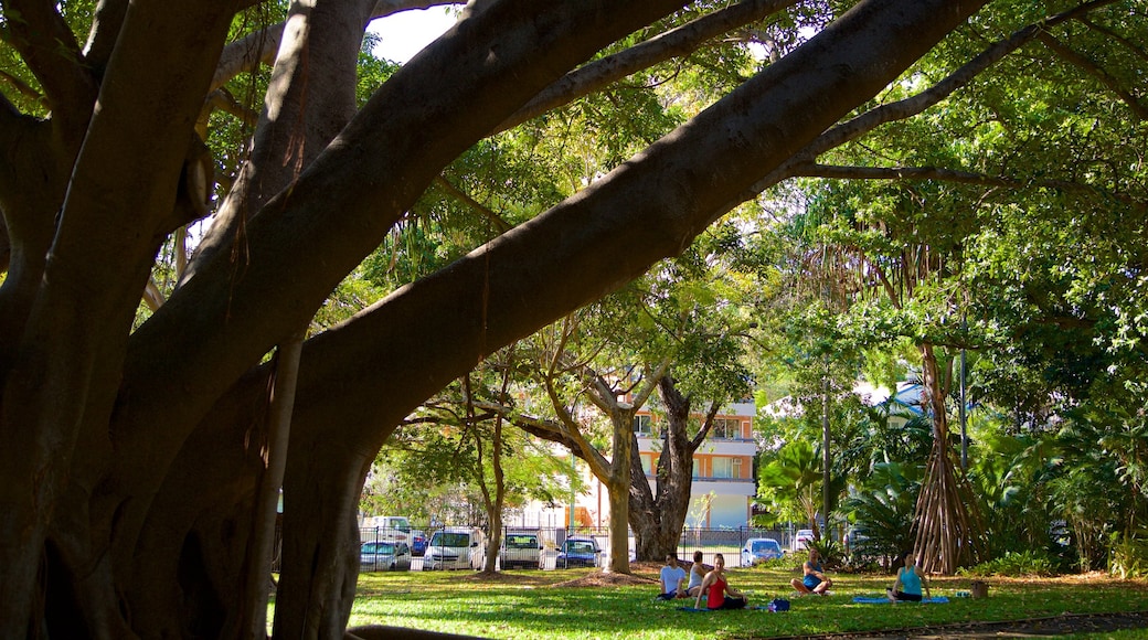 Queens Gardens featuring a park as well as a small group of people