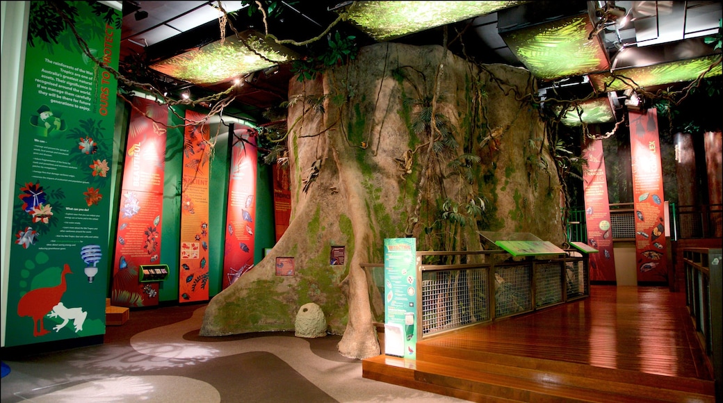 Museum of Tropical Queensland 呈现出 內部景觀