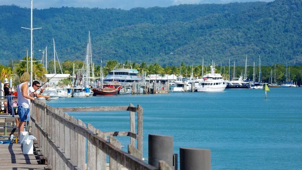 Tropical North Queensland featuring fishing and a bay or harbour as well as an individual male