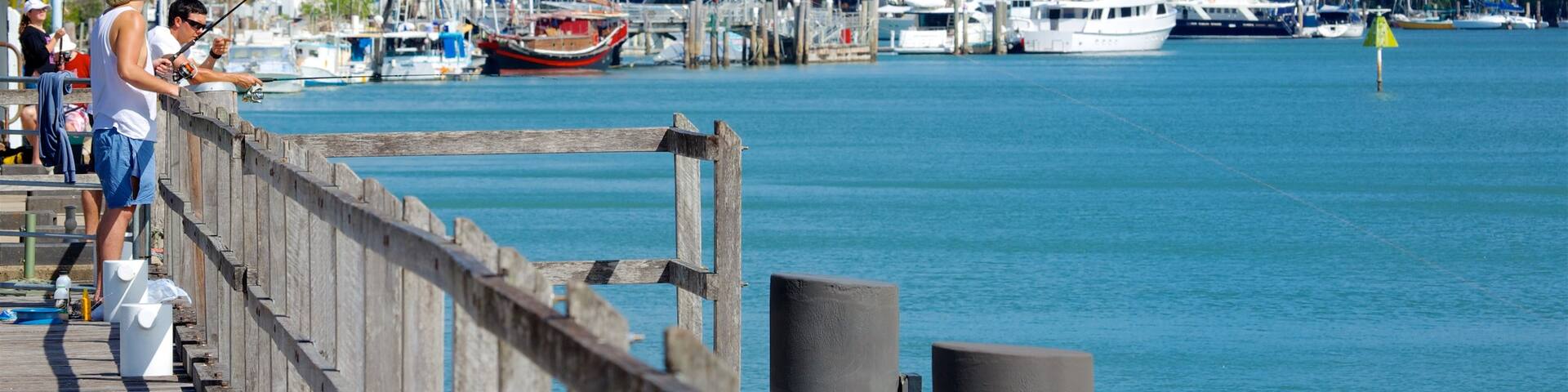 Tropical North Queensland featuring fishing and a bay or harbour as well as an individual male