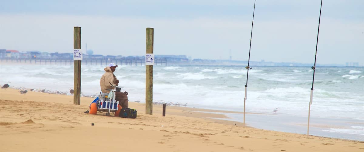Outer Banks showing fishing, general coastal views and a sandy beach