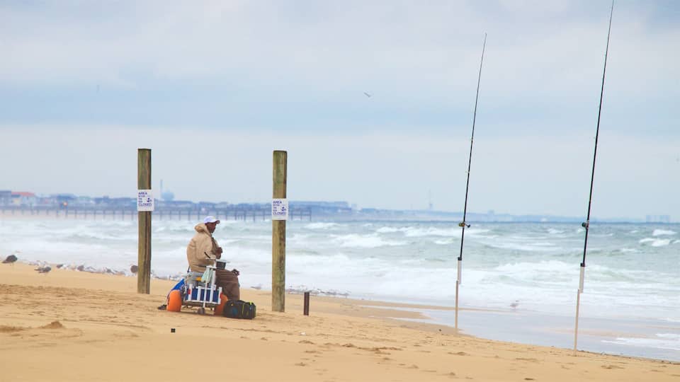 Outer Banks showing fishing, general coastal views and a sandy beach