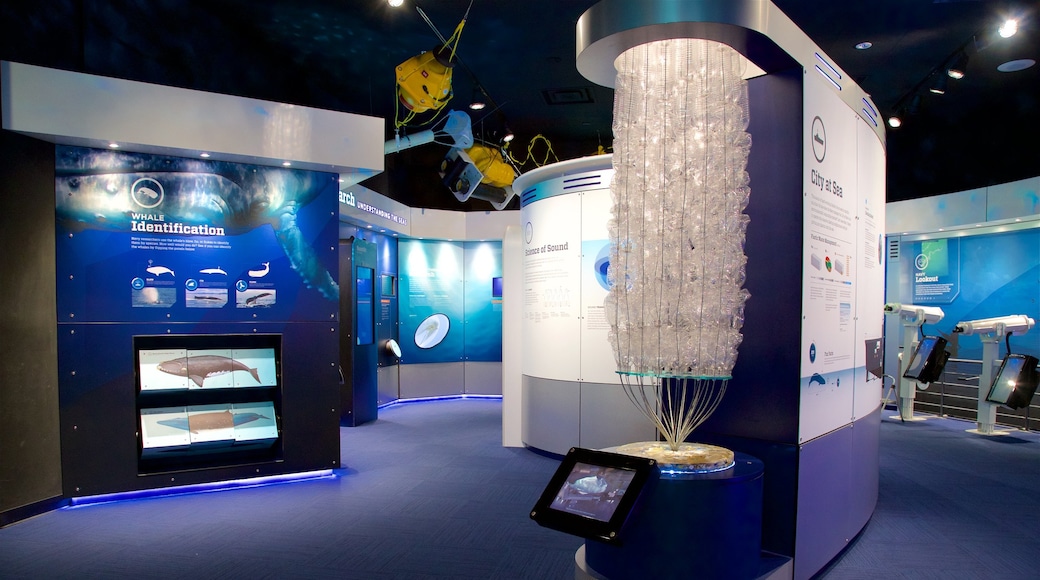 Nationaal maritiem museum Nauticus toont interieur