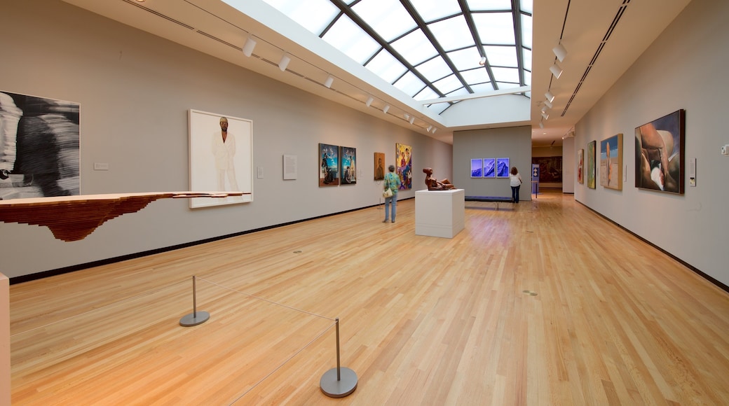 Chrysler Museum of Art showing art and interior views