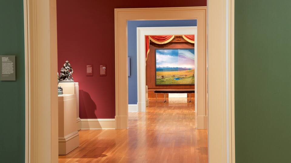 Chrysler Museum of Art som omfatter interiør og kunst