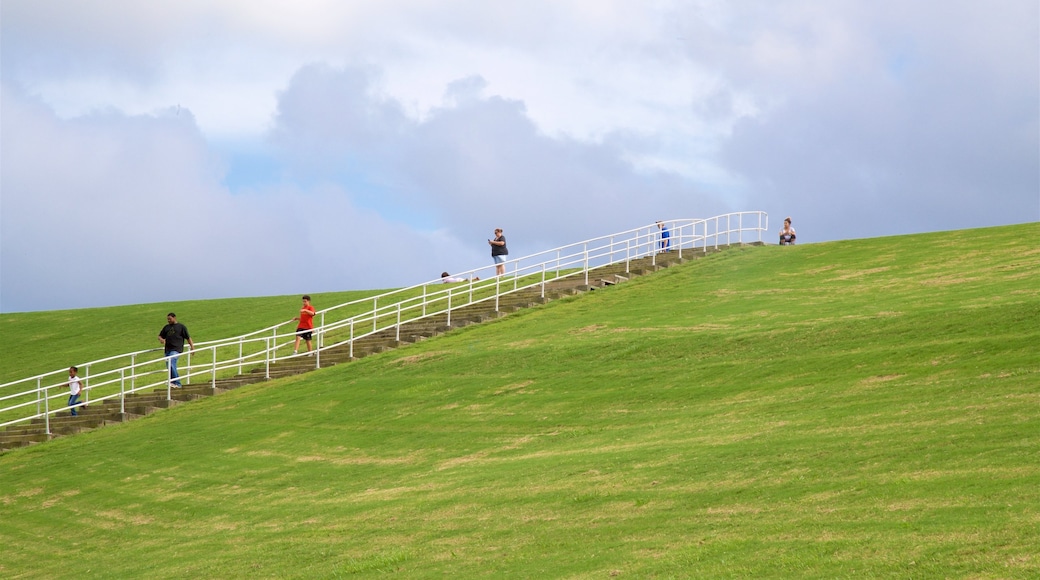 Mount Trashmore Park which includes a garden as well as a small group of people