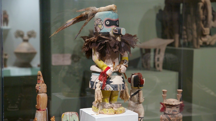 Native American artifact displayed at the New Orleans Museum of Art.