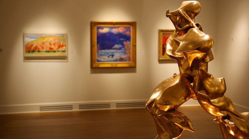 New Orleans Museum of Art showing interior views and art