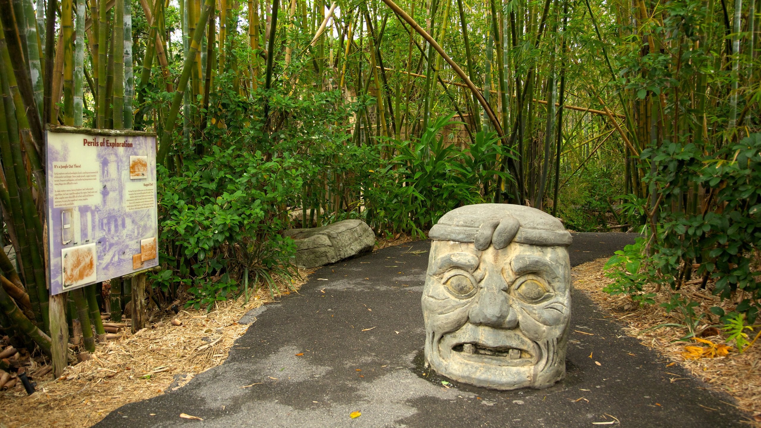 33 Audubon Aquarium Americas Royalty-Free Images, Stock Photos \u0026 Pictures |  Shutterstock, image size:2560x1440