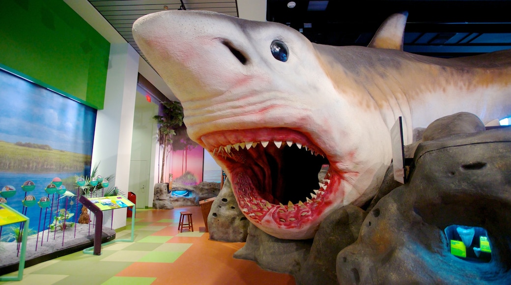 Museum of Discovery and Science das einen Innenansichten