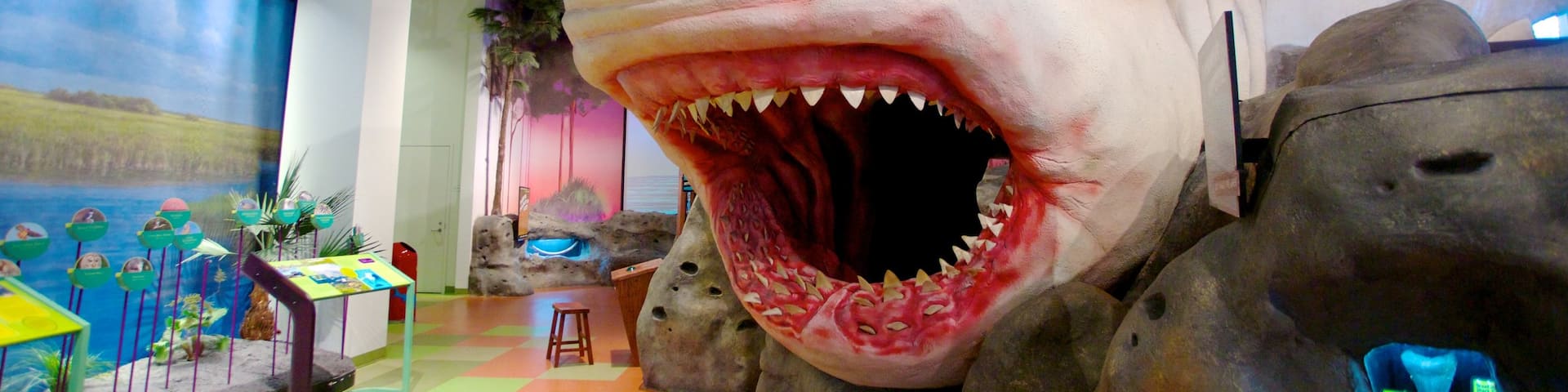Museo de Descubrimiento y Ciencia que incluye vistas interiores