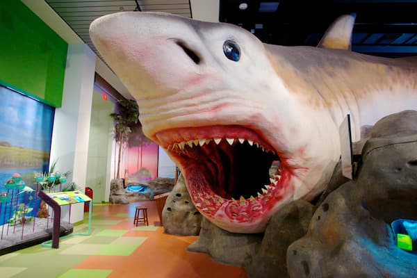 Museum of Discovery and Science das einen Innenansichten