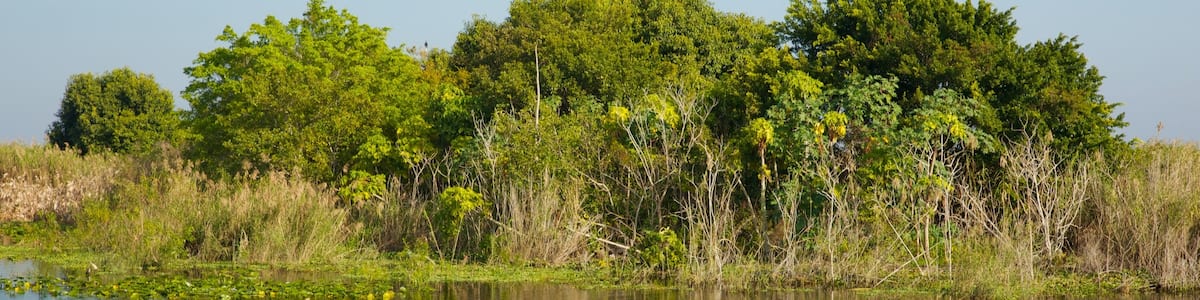 Lake Okeechobee welches beinhaltet Landschaften, See oder Wasserstelle und ruhige Szenerie