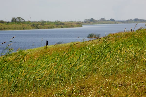 Lac Okeechobee montrant lac ou étang et panoramas