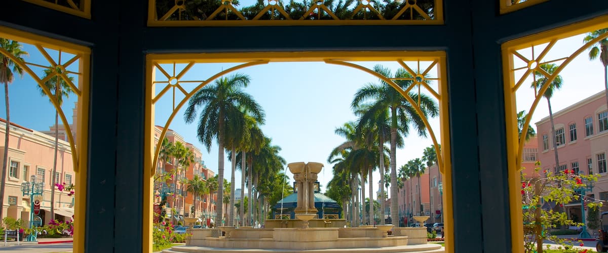Mizner Park showing a city, a garden and tropical scenes